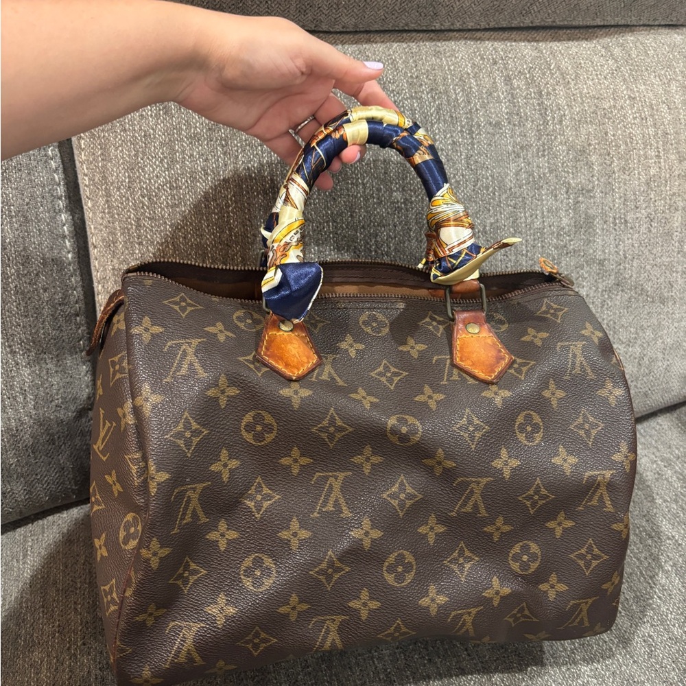 Louis Vuitton Speedy 30 project piece